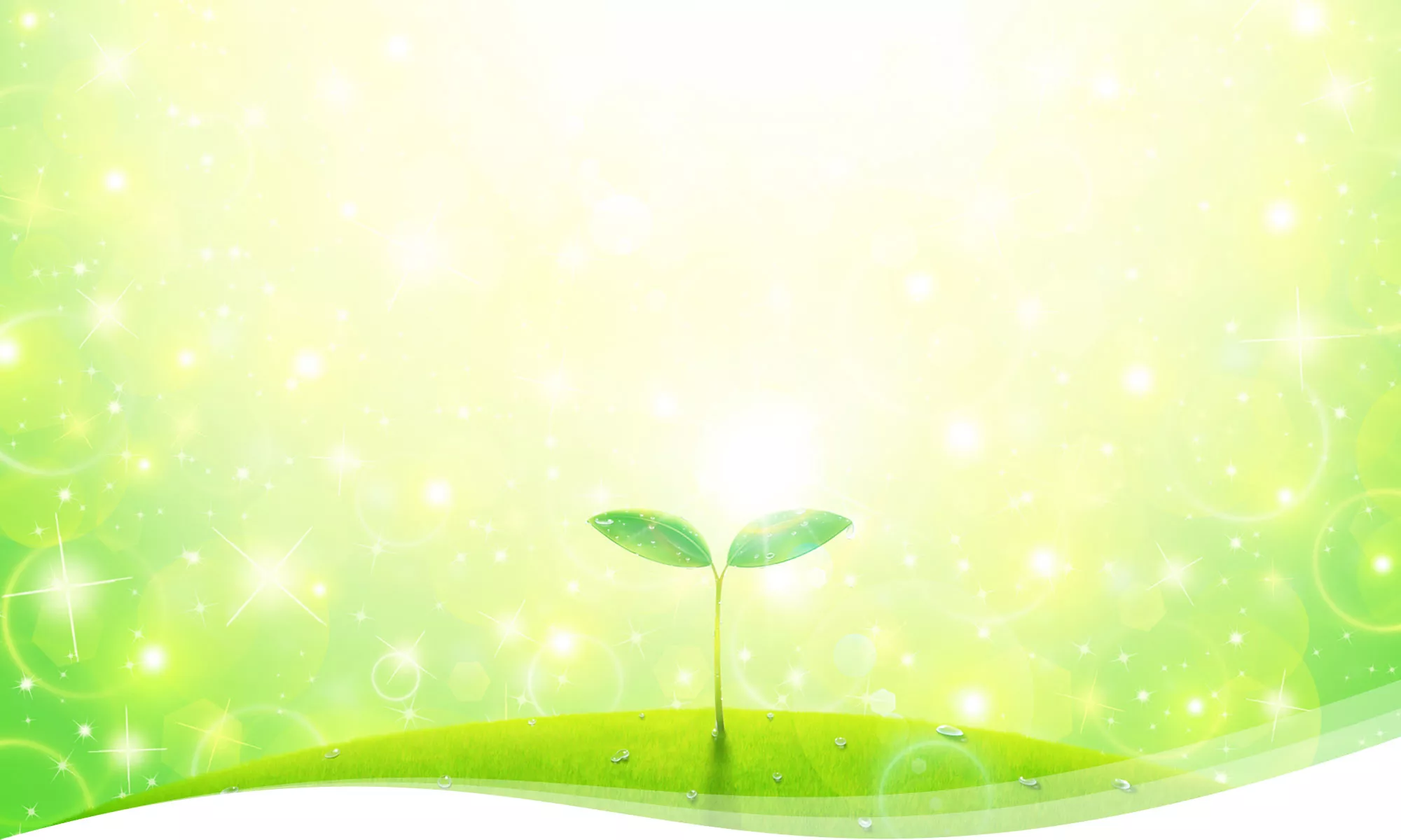 板橋区 就職カレッジ